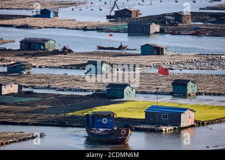 Ville flottante dans la baie, maisons sur des constructions en bambou avec des aquacultures, Xiapu, Chine Banque D'Images