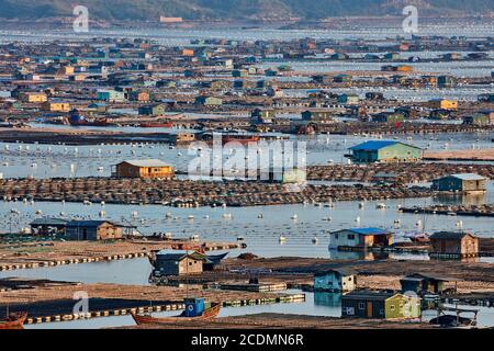 Ville flottante dans la baie, maisons sur des constructions en bambou avec des aquacultures, Xiapu, Chine Banque D'Images