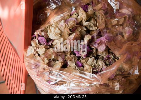 Sac en plastique rempli de feuilles sèches et de fleurs sèches recueillies avec et râteau d'orange prêt à être recyclé. Déchets de jardin recueillis lors du confinement de la covid-19. Banque D'Images