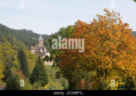 Château de Zwingenberg sur la rivière Neckar Banque D'Images