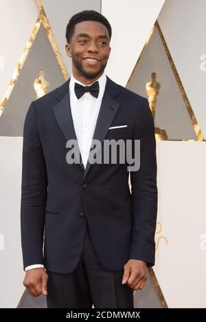 DOSSIER : 29 août 2020. Hollywood, États-Unis d'Amérique. 28 février 2016. HOLLYWOOD, CA - 28 FÉVRIER : Chadwick Boseman assiste à la 88e cérémonie annuelle des Academy Awards au Hollywood & Highland Center le 28 février 2016 à Hollywood, Californie. Personnes: Chadwick Boseman crédit: Storms Media Group/Alay Live News Banque D'Images