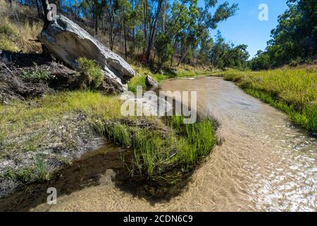 Lit de sable avec eau claire de la rivière Nogoa près de la jonction avec le ruisseau Louisa. Salvator Rosa Section Carnarvon National Park, Queensland, Australie Banque D'Images