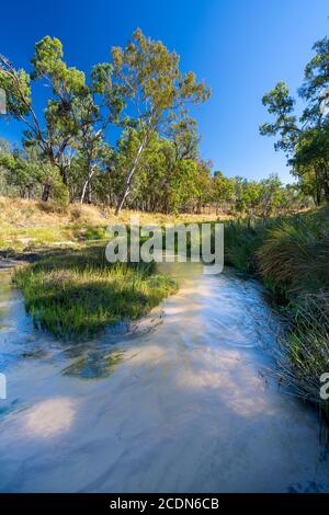 Lit de sable avec eau claire de la rivière Nogoa près de la jonction avec le ruisseau Louisa. Salvator Rosa Section Carnarvon National Park, Queensland, Australie Banque D'Images