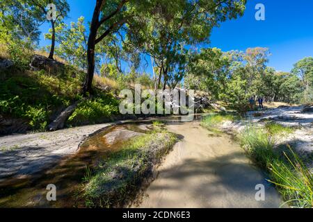 Lit de sable avec eau claire de la rivière Nogoa près de la jonction avec le ruisseau Louisa. Salvator Rosa Section Carnarvon National Park, Queensland, Australie Banque D'Images