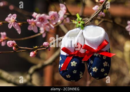 Chaussons bébé suspendu à une branche d'arbre en fleurs Banque D'Images