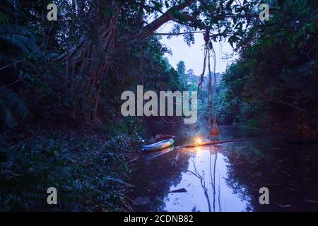 Canoë dans une forêt tropicale sombre, camping en canoë avec bougie, Banyan Tree mystique ancien au bord d'une rivière. Banque D'Images