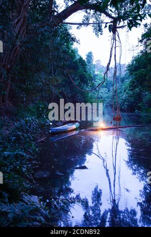 Canoë dans une forêt tropicale sombre, camping en canoë avec bougie, Banyan Tree mystique ancien au bord d'une rivière. Banque D'Images