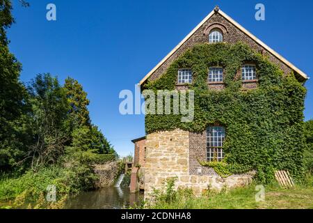 D-Dorsten, D-Dorsten-Deuten, Lippe, Ruhr, Hohe Mark Westmuensterland nature Park, Muensterland, Westphalie, Rhénanie-du-Nord-Westphalie, NRW, Tueshaus Mill, maison résidentielle et moulin à eau, relique culturelle technique Banque D'Images