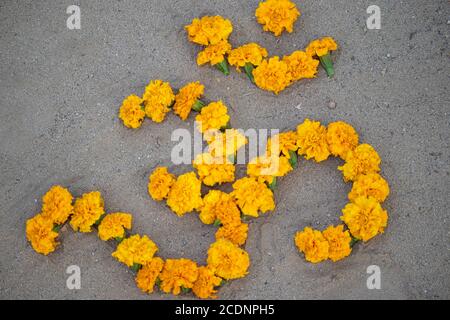 Lettre de l'alphabet hindi de Hindou Saint Om écrit en jaune marigold fleurit sur le sol Banque D'Images