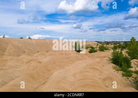 Dunes de sable jaune surcultivées avec des arbres et des buissons par une belle journée d'été. Banque D'Images