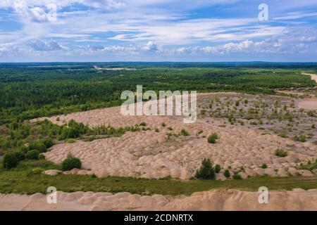 Dunes de sable jaune surcultivées avec des arbres et des buissons par une belle journée d'été. Banque D'Images