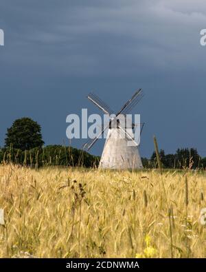 Nature et paysage estoniens Banque D'Images