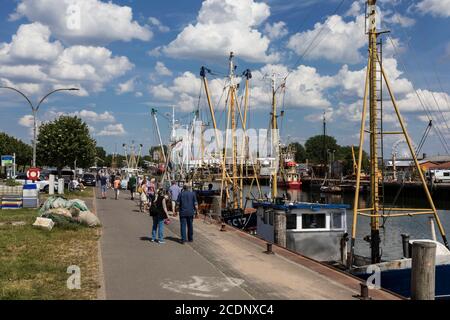 Le port de Busum est le point central de la station de vacances. Le quai de pêche dans le port de pêche est l'endroit où les bateaux de pêche à la crevette couchent. Banque D'Images