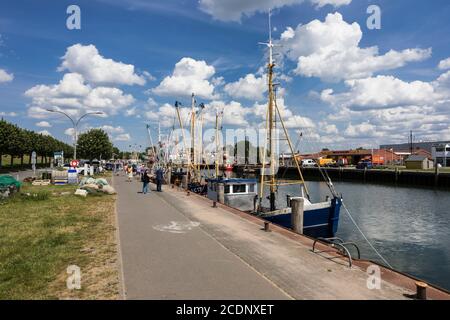 Le port de Busum est le point central de la station de vacances. Le quai de pêche dans le port de pêche est l'endroit où les bateaux de pêche à la crevette couchent. Banque D'Images