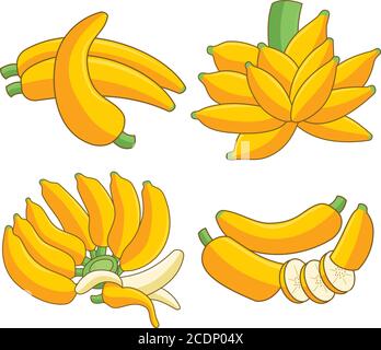 Bananes caricatures. Épluchez la banane, ensemble de fruits jaunes Illustration de Vecteur