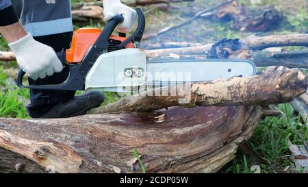 Une tronçonneuse d'homme méconnue coupe des arbres secs de près Banque D'Images