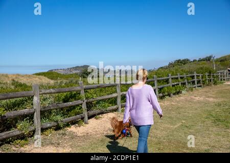 Femme modèle a libéré l'exercice et la marche avec son chien, Mona Vale plage à Sydney, Australie Banque D'Images