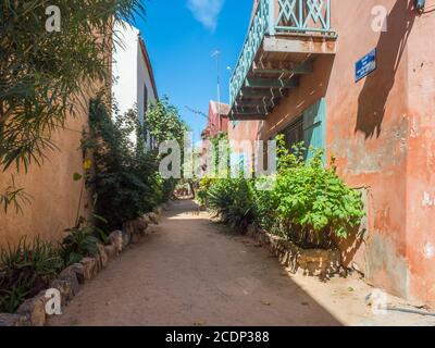 Gorée, Sénégal- 2 février 2019 : rouge, chemin de sable entre les maisons avec plein de fleurs colorées sur l'île de Gorée. Gorée. Dakar, Sénégal. Afric Banque D'Images