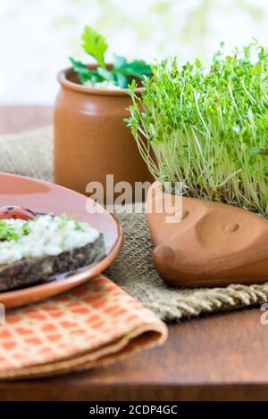 hérisson de terre cuite avec cresson de jardin maison et assiette avec pain brun et fromage à la crème Banque D'Images