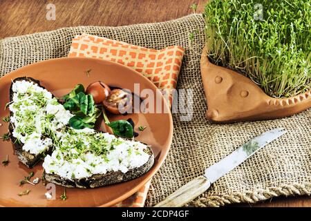 hérisson de terre cuite avec cresson de jardin maison et assiette avec pain brun et fromage à la crème Banque D'Images