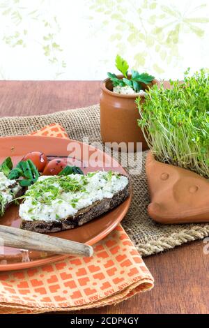 hérisson de terre cuite avec cresson de jardin maison et assiette avec pain brun et fromage à la crème Banque D'Images