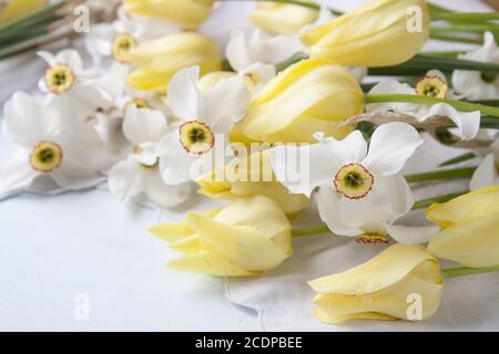 Jonquilles blanches narcisse et tulipes jaunes sur une table en bois clair. Banque D'Images