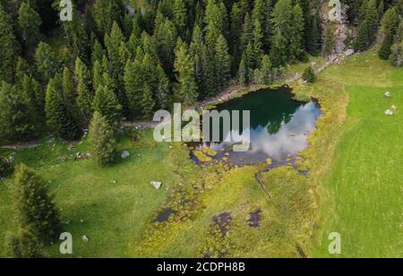 Lac de Covel en été. Vue panoramique sur le lac de Covel dans la vallée de Pejo, Trentin-Haut-Adige, nord de l'Italie - Parc national du Stelvio Banque D'Images