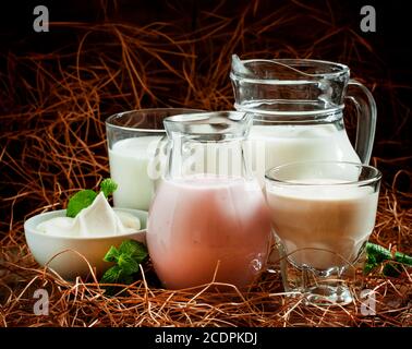 Produits laitiers biologiques: Lait, crème, crème aigre, lait fermenté cuit, yaourt, lait aigre dans des cruches en verre et des verres dans un style campagnard, foyer sélectif Banque D'Images