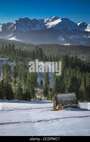 Ancienne maison en bois en hiver Tatras, Pologne Banque D'Images