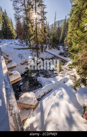 Pont couvert de neige au-dessus de la rivière gelée, vallée de Koscieliska, Pologne Banque D'Images