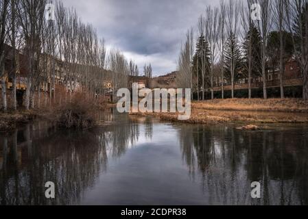 Une rivière calme reflète la rangée d'arbres sur ses berges en hiver, Trillo, Guadalajara, Espagne Banque D'Images