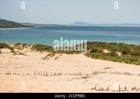 Dune de sable, dunes de Punta Paloma, Valdevaqueros, Cadix, Andalousie, espagne. Banque D'Images