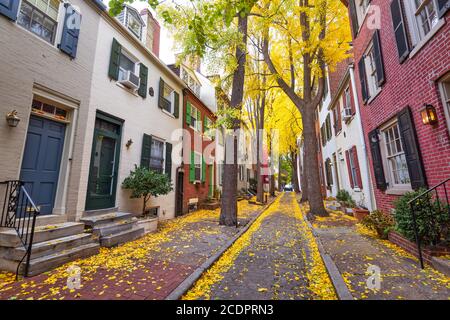 Allée d'automne dans un quartier traditionnel de Philadelphie, Pennsylvanie, USA. Banque D'Images