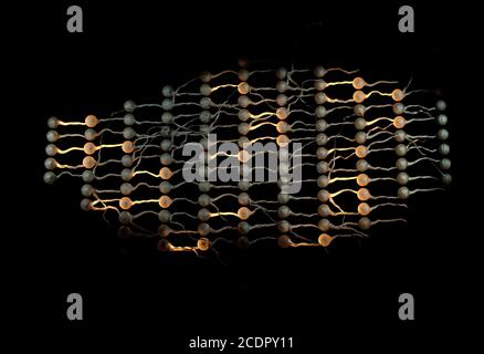 Net de neurones. Réseau de neurones avec des liens. 3d illustration Banque D'Images