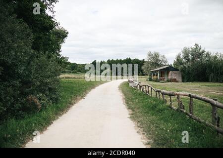 vue sur le sentier à travers la végétation indigène et luxuriante dans la nature du parc Banque D'Images