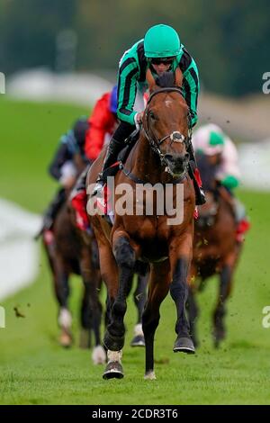 James Doyle Riding Century Dream (vert) remporte les piquets de la célébration Ladbrokes Mile à l'hippodrome de Goodwood. Banque D'Images