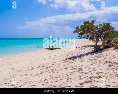 Idyllique île de Nosy VE, avec plage de sable blanc, mer émeraude et pirogues typiques d'outrigger amarrées en arrière-plan, Océan Indien, Madagascar Banque D'Images