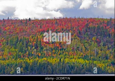 L'automne vient aux lacs des Bois du Nord Le lac Gabamichigami dans les eaux limitrophes du Minnesota Banque D'Images