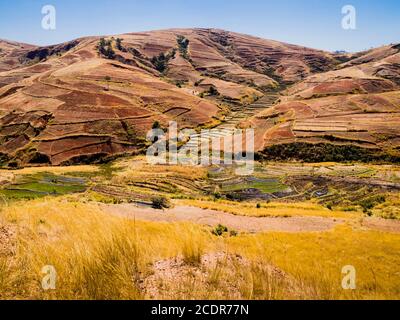 Collines colorées avec rizières en terrasses dans les hauts plateaux De Madagascar Banque D'Images