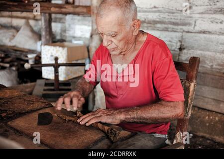 Un homme âgé travaille sur le cigare traditionnel plantage au usine de tabac cubaine Banque D'Images