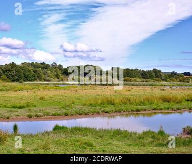 Parc naturel de Bowling Green Marsh, Topsham Devon, Royaume-Uni Banque D'Images