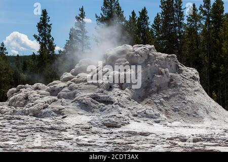 Vapeur en provenance de la formation géothermique connue sous le nom de Castle Geyser au parc national de Yellowstone, Wyoming. Banque D'Images