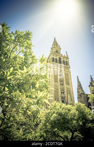 Soleil au Giralda de la cathédrale de Séville, Espagne, Europe Banque D'Images