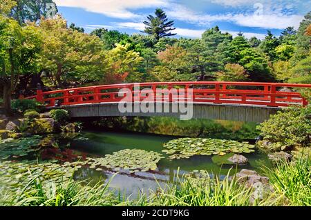 Pont de bois dans le parc en automne Banque D'Images