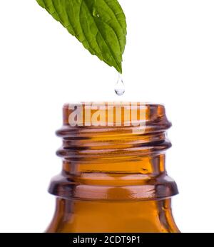 Herbes, médecine alternative, chute d'eau tombant d'une feuille à la bouteille. Banque D'Images