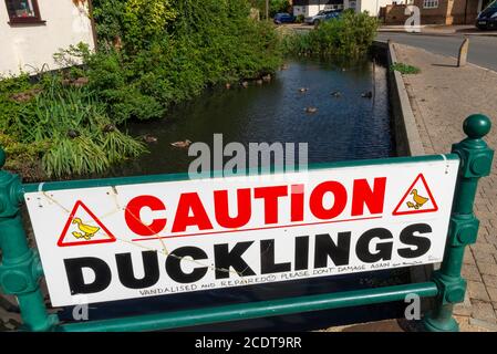 Attention panneau d'avertissement de canetons près d'un étang de canards dans Great Wakering, près de Southend, Essex, Royaume-Uni. Canards dans l'étang. Message demandant de ne plus endommager Banque D'Images