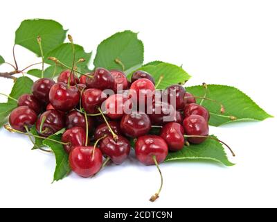 Cerises douces sur fond blanc Banque D'Images