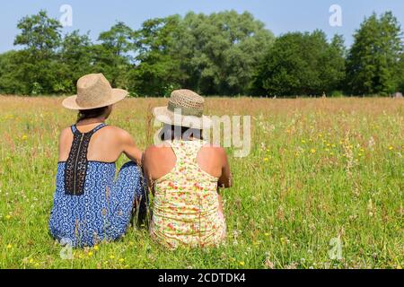 Deux amis assis ensemble dans la prairie Banque D'Images