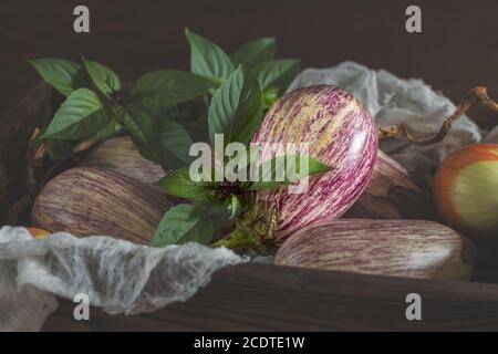 Aubergines à graffiti violet, oignon et basilic frais vert dans une boîte en bois dans un fond en bois vintage dans un style rustique, sélectif Banque D'Images