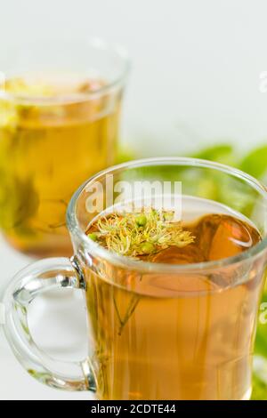 Thé de fleurs de tilleul dans un verre transparent avec un grog tilleul sur la surface en bois blanc Banque D'Images